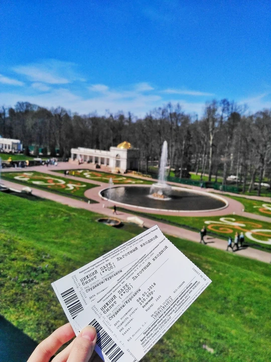 تدريب احترافي